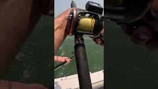 Walleye Smack Down on SPOONS!!!