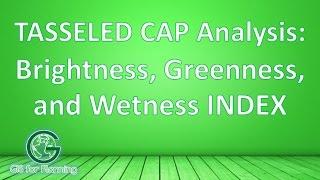 Tasseled Cap Analysis (Brightness, Greenness, and Wetness Index) for Landsat 7 ETM+