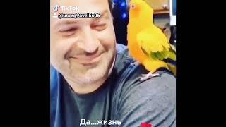 Свет Человеческой души!) Все живое тянется к нему с благодарностью и отвечает любовью!