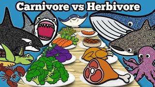 Carnivore vs Herbivore Sea Animals | Let's Draw & Color Sharks & Whales and Learn Fun Animal Facts!