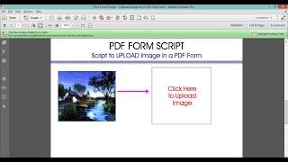 Upload Image in PDF | Adobe PDF Script to insert image in PDF form | JavaScript to insert image