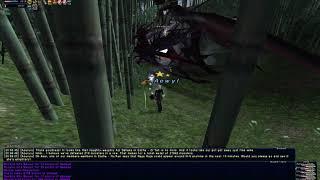 FFXI - Dualboxing an Aeonic: Erinys