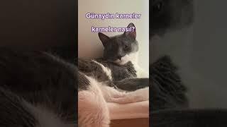 mesude karne soruyor sağ bastan say