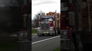 LOGGING TRUCK NZ