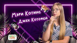 Собаки-пираты, кот-скейтбордист, пушистые спортсмены в другие видео «Хвост Ньюс» #80