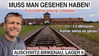 #1004 Wie kann man so einen an der Klatsche haben? Unfassbar | Auschwitz-Birkenau Lager 2