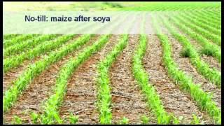 Soybean Cultivation: 09 Soil Cultivation and Seedbed Preparation - Wessel van Wyk