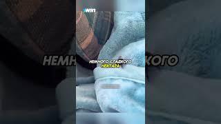 Девочка подружилась с пчелой️ #животные #animals