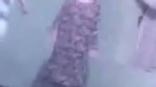 Духтарои канчук