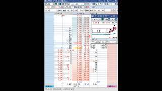 현대리바트 vi후 스켈핑