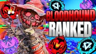 High Level Bloodhound Ranked Gameplay - Apex Legends (No Commentary)