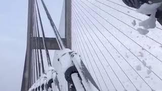 Cable Collar Drops on the Alex Fraser Bridge