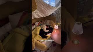 Building a pillow fort at 30 years old!