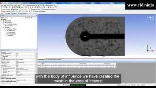  ANSYS CFX Tutorial -  Meshing NACA 4412 Airfoil - Part 3/4