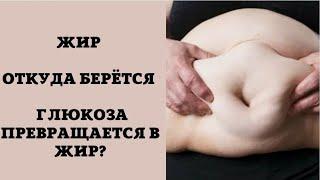 ЖИР / ОТКУДА БЕРЁТСЯ / ГЛЮКОЗА ПРЕВРАЩАЕТСЯ В ЖИР?