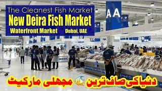 Dubai Fish Market|Deira Fish Market|Waterfront Market Fish Market|Cleanest Fish Market, Dubai, UAE