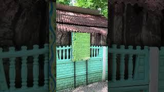 Прогулка к водопадам. Возрождение Геленджик #геленджик #горы #вечер #костёр #море #май2023 #ммм