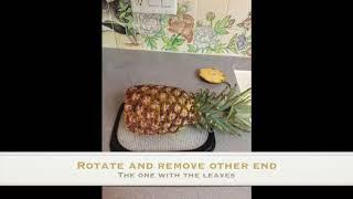 Preparing a Fresh Pineapple by banjojudy