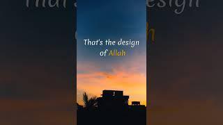 Turn back to Allah #islam #islamic #allah #shorts