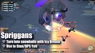 Snowcloak Dungeon Guide - Final Fantasy XIV: A Realm Reborn