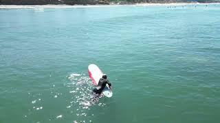 Sammy finds a different surfer to hang out with in Pacific Beach San Diego Ca