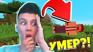 25 СПОСОБОВ УМЕРЕТЬ НУБУ В МАЙНКРАФТ ПЕ #1! MINECRAFT PE МУЛЬТИК #6