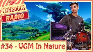 Video Game Music in Nature - Consouls Radio #34 (Set 1/2)