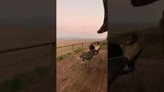 Lions Bluff Lodge: Your Kenyan Safari Adventure