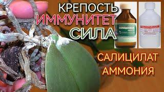 По совету агронома фармасмесь для орхидей. ВОЛШЕБСТВО  С ЦВЕТАМИ не на словах !!!