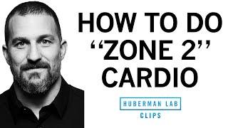 How & Why to Get Weekly "Zone 2" Cardio Workouts | Dr. Andrew Huberman