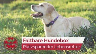 Faltbare Hundebox: Platzsparender Lebensretter für Vierbeiner - Best Friends | Welt der Wunder