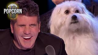 HILARIOUS Singing Dog Audition! Marc Métral and Wendy SHOCK the BGT Judges!