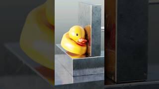 Poor little duck