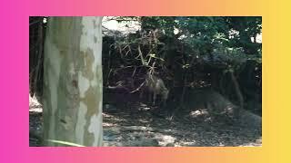 Hiking Tin Shui Wai