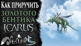 Icarus online(RU). Как приручить...#22. Золотой Бентик. Море Хаканас