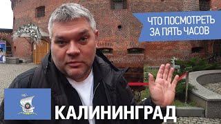 Калининград. Что посмотреть за 5 часов. Немецкий бункер. Музей янтаря. Альтес хаус.