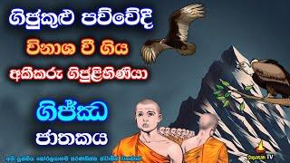 ගිජ්ඣ ජාතකය | ගුරු භික්ෂූන්ගේ අවවාද නොතැකූ භික්ෂුවගේ පෙර භවය | Gijja jathakaya