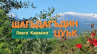 «ШАГЬДАГЪДИН ЦУЬК» Лезги Караоке (гафар ва макьам Седагет Керимова)