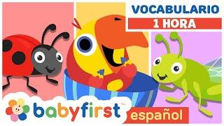 Nuevas Palabras | Vocabulario para Niños | Huevos Surpresas con Larry | 1 Hora | BabyFirst Español