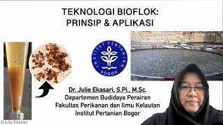 Prinsip dan Aplikasi Teknologi Bioflok untuk Budidaya Perikanan Air Tawar