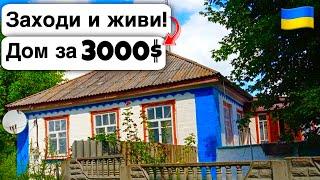  Заходи и живи! Дом в селе за 3000$ Продажа недвижимости за копейки! Всё есть Уютное тихое село!