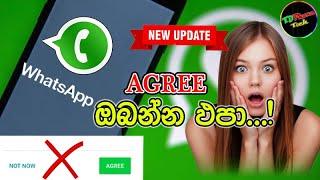 WhatsApp privacy policy update in Sinhala 2021  TDPhone Tech