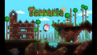 Первая проба в Terraria + киноаукцион