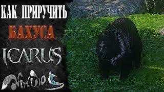 Icarus online(RU). Как приручить...#3 - Бахус. Замок Хаканаса