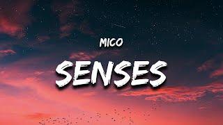 MICO - Senses (Lyrics)