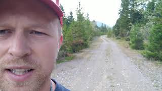 Stalked by a Cougar.