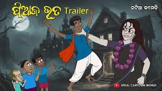 Natia Comedy || Piaja Bhuta || Trailer || Odia Horror comedy || Odia cartoon