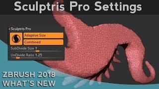 006 ZBrush 2018 Sculptris Pro Settings