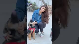 Viral shorts video 1M VIral tik tok hote  #shorts #viral mp4(4)