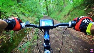 Voilamart 1000W GIANT REVEL Ebike / Full Throttle Ride In The Woods (36mph+) #Emtb